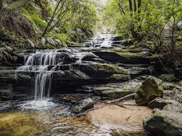 Australia, New South Wales, Blue Mountains National Park, Leura Cascades, Waterfall in forest