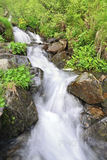 Ukraine, Ivano-Frankivsk region, Verkhovyna district, Carpathians, Dzembronskie waterfalls