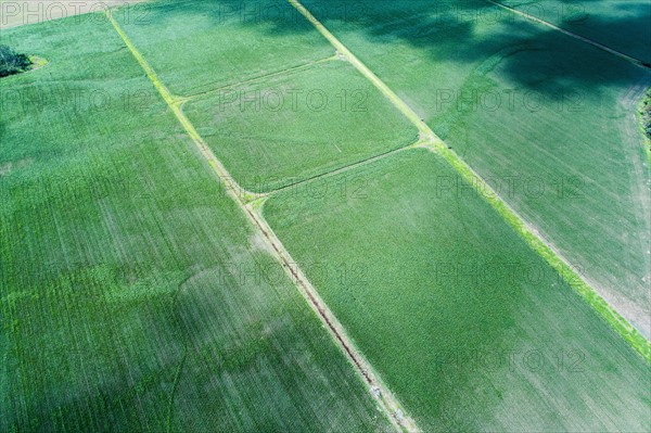 Australia, Landscape with fields at Kangaroo Valley