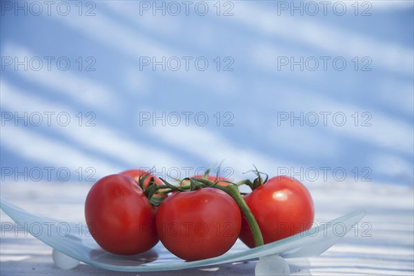 Red tomatoes on plate