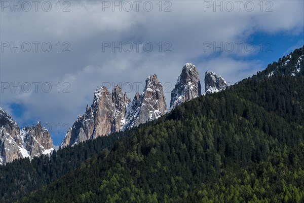 Forest by mountain peaks in Dolomites, Italy