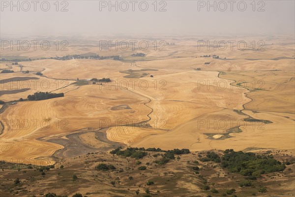 Rural landscape in Palouse, Washington, USA