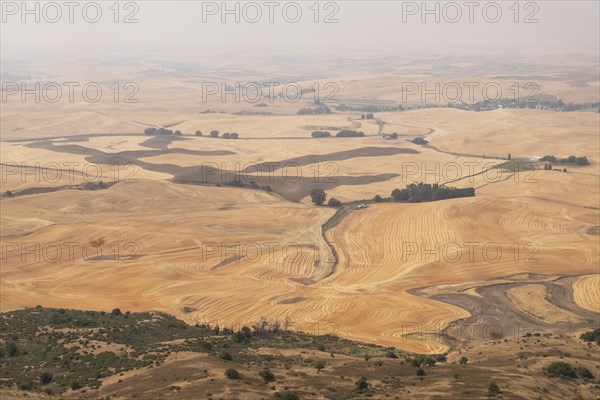 Rural landscape in Palouse, Washington, USA