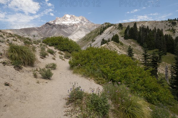 Sand dunes and mountain in Mount Hood National Forest, yregon