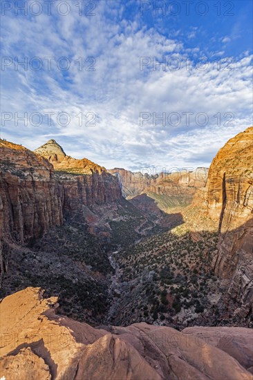 Canyon at Zion National Park in Utah, USA