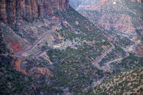 Canyon at Zion National Park in Utah, USA