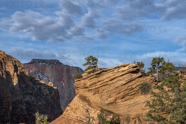 Cliff at Zion National Park in Utah, USA