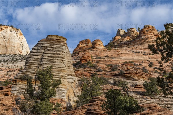 Cliff at Zion National Park in Utah, USA