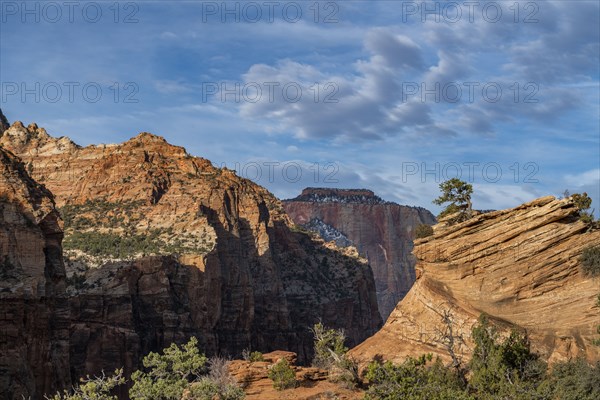 Canyon at Zion National Park in Utah, USA