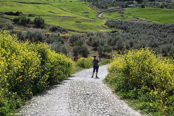 Spain, Ronda, Woman hiking in springtime