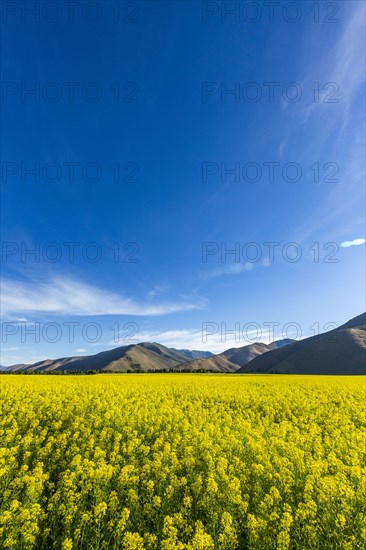 USA, Idaho, Sun Valley