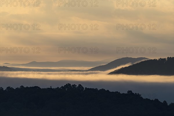 USA, Georgia, Fog and clouds above forest and Blue Ridge Mountains at sunrise