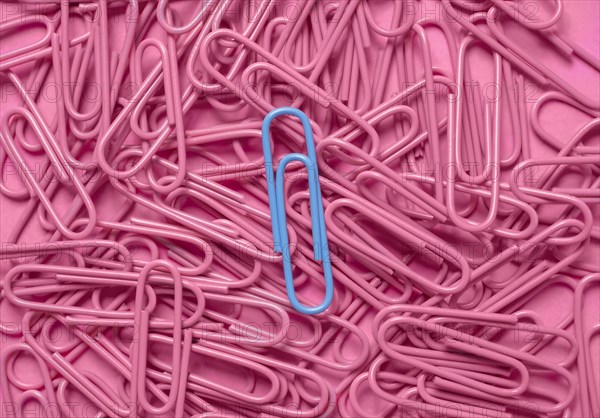 Blue paper clip on pile of pink paper clips