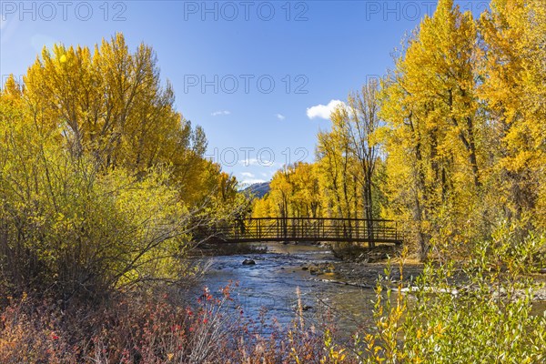 Big Wood River with autumn trees