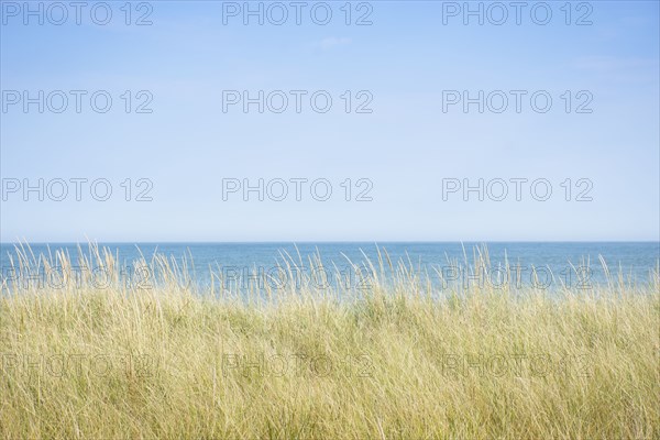 Atlantic Ocean from dunes at Cisco Beach