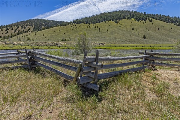 Wooden fence around pasture