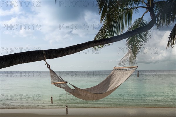 Hammock hanging on palm tree at beach