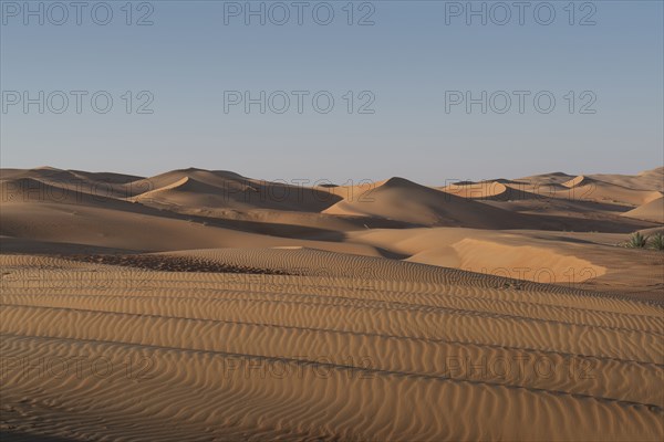 Sand dunes in desert landscape