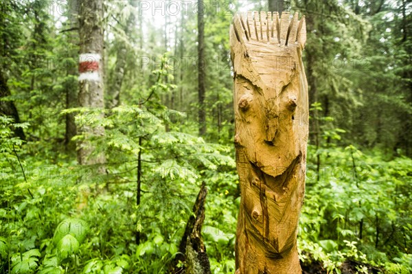 Close up of carved totem pole in forest