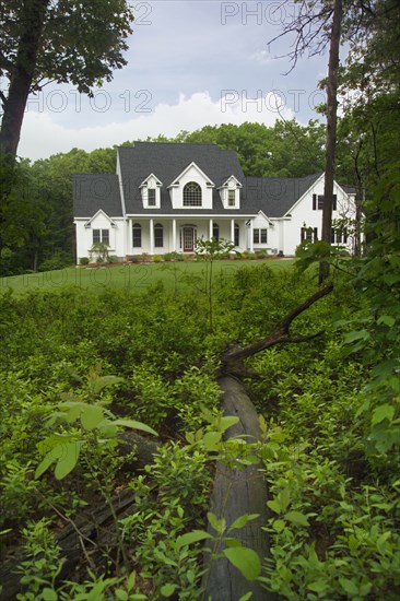 Fallen tree trunk between plants in lawn of a single family home