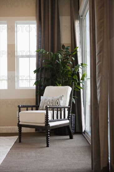 Wooden chair and house plant in seating area