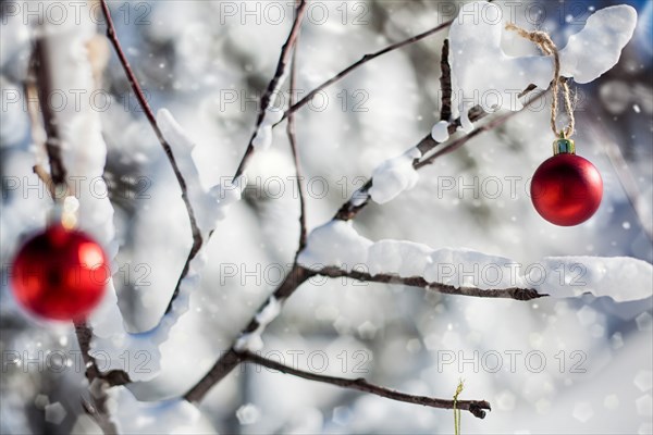 Christmas ornaments on branch in the snow