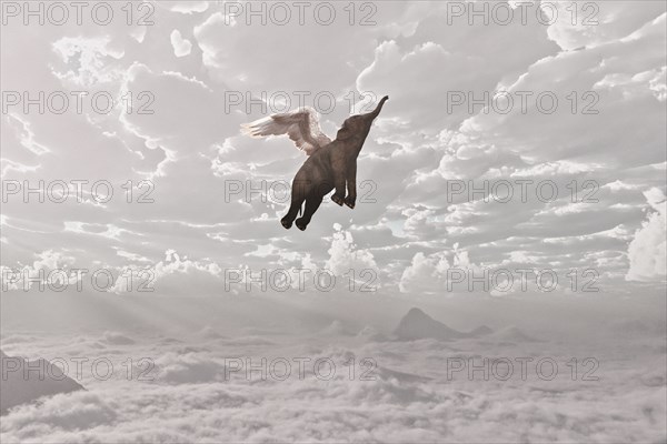 Elephant flying in clouds