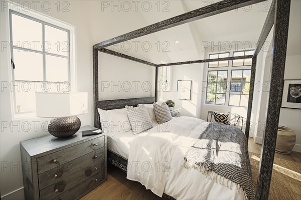 Canopy bed in modern bedroom