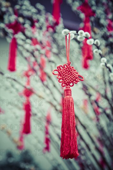 Decorations hanging from plants