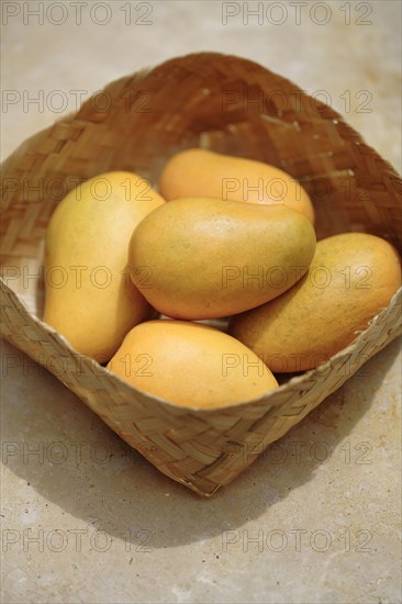 Yellow mangoes in basket