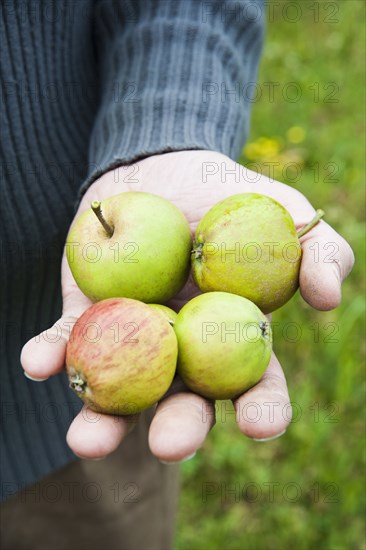 Caucasian farmer with handful of fruit