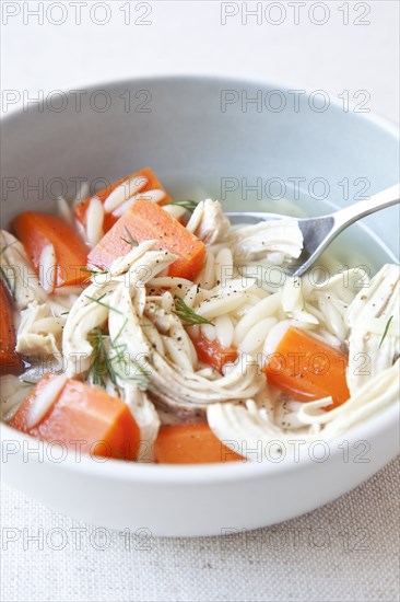 Bowl of chicken and carrot soup