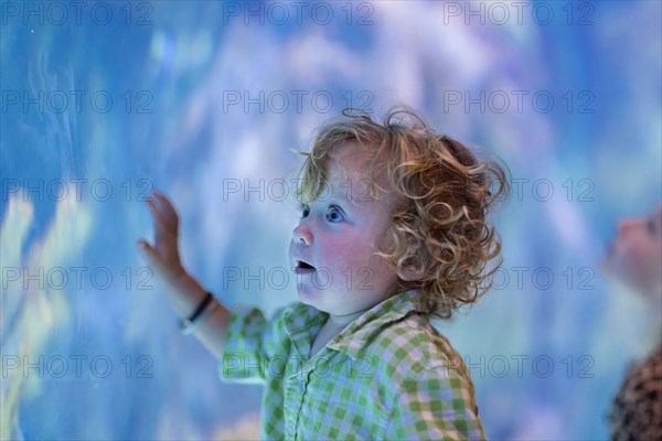 Caucasian baby boy admiring fish in aquarium