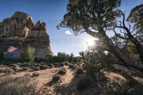 Sun in blue sky over desert