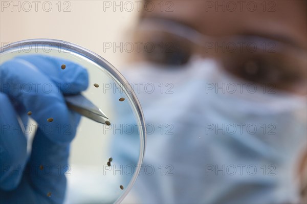 Mixed race scientist examining samples in laboratory