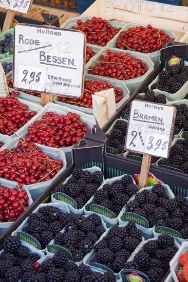 Variety of fruit for sale in market