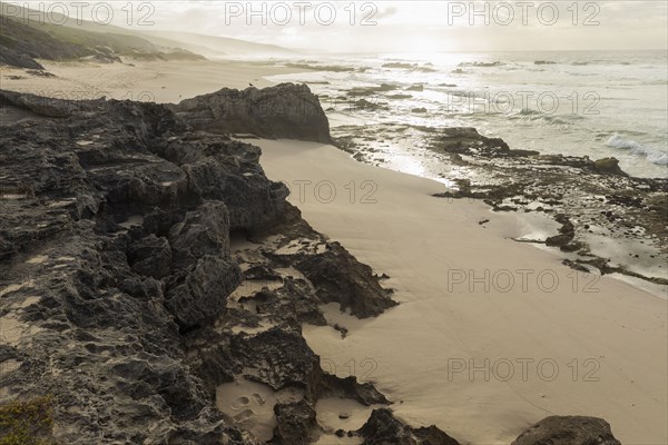 Rocky coastline in Lekkerwater Nature Reserve