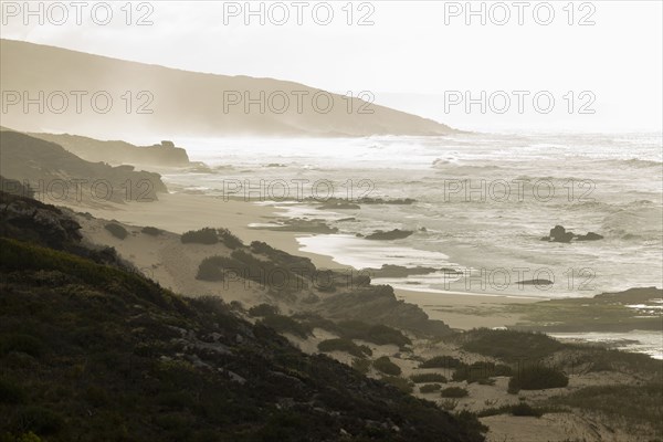 Rocky coastline in Lekkerwater Nature Reserve