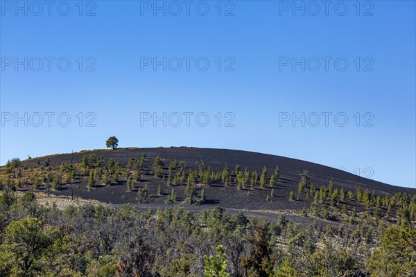 Landscape with cinder cone