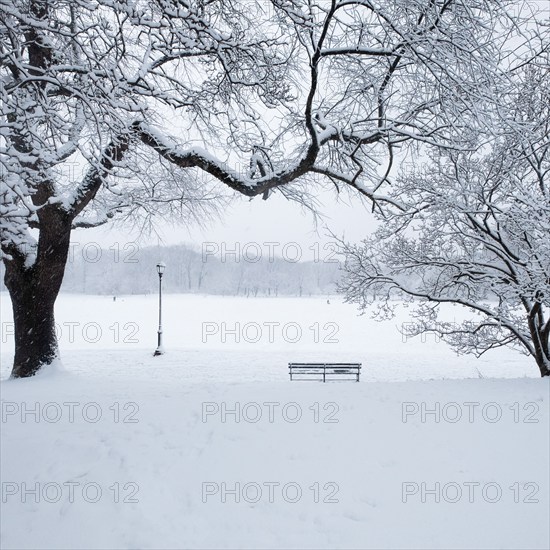 Bench and bare trees covered with snow in Brooklyn Prospect Park, New York, New York, USA