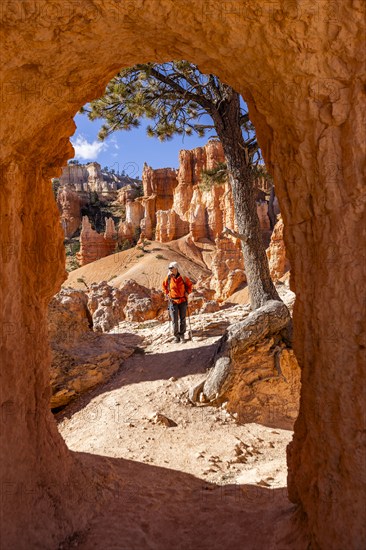 Woman hiking in Bryce Canyon National Park, , Utah, USA