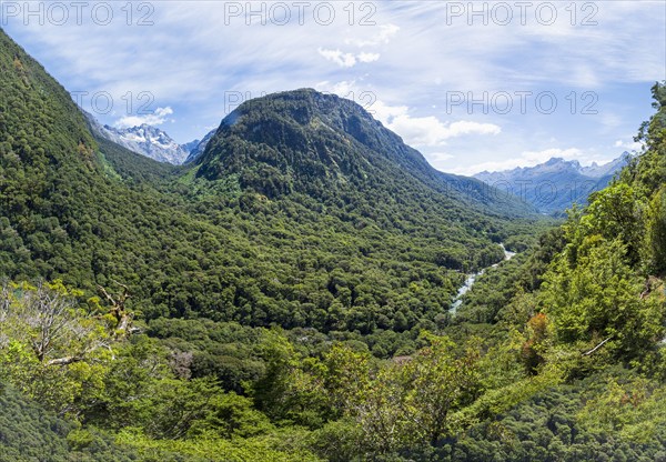 Green forested hills in Fiordland National Park, Te Anau, Fiordland, New Zealand