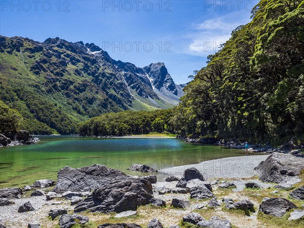 Woman standing on lakeshore in Fiordland National Park, Te Anau, Fiordland, New Zealand