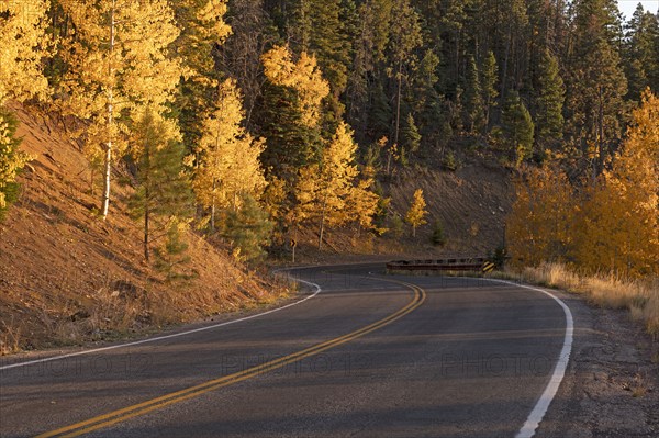 Usa, New Mexico, Santa Fe, Road and trees in Fall colors in Sangre De Cristo Mountains, Santa Fe, New Mexico, USA