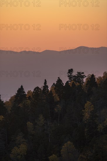 Usa, New Mexico, Santa Fe, Forest and Sangre De Cristo Mountains at sunset, Santa Fe, New Mexico, USA