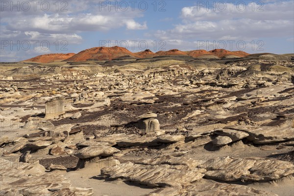 Usa, New Mexico, Bisti Wilderness, Rock formations in Bisti/De-Na-Zin Wilderness, , New Mexico, USA