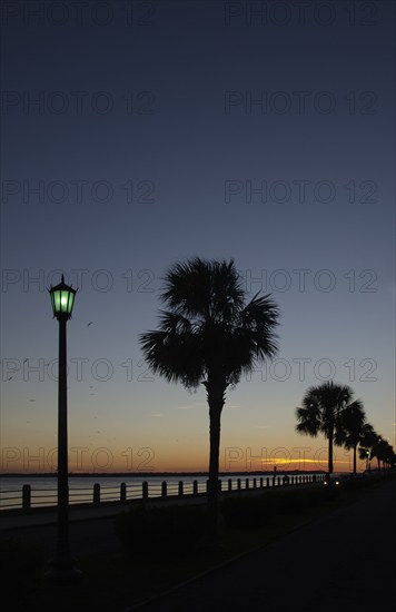 USA, South Carolina, Charleston, Silhouettes of palm trees near Ashley River at sunset, Charleston, South Carolina, USA