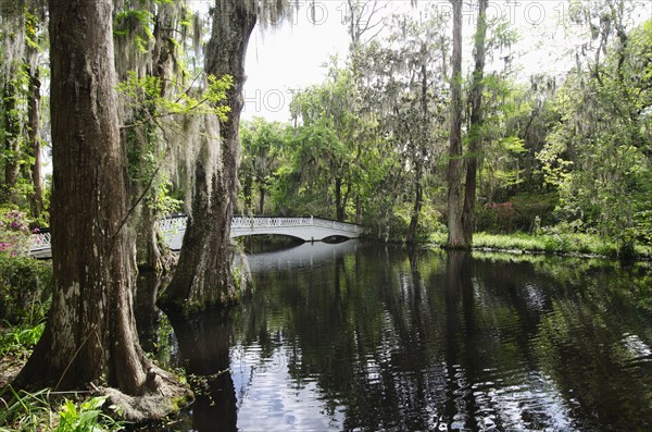 USA, South Carolina, Charleston, White Bridge at Magnolia Plantation, Charleston, South Carolina, USA