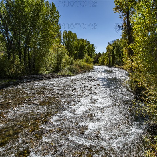 USA, Idaho, Big Wood River in Fall at Sun Valley, Sun Valley, Idaho, USA