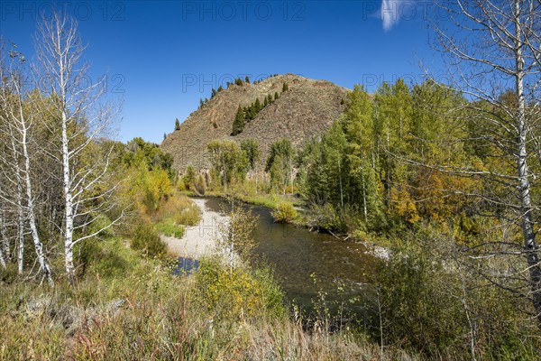 USA, Idaho, Big Wood River in Fall at Sun Valley, Sun Valley, Idaho, USA